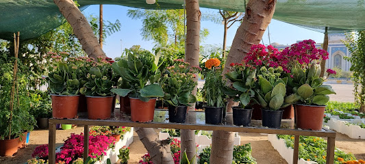 AlGadier Plantation - Tarout - +966 56 024 0282