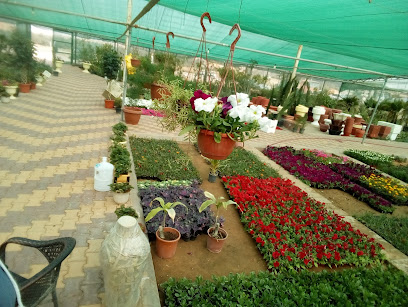 Nursery Tuwaijri - Buraydah - +966 50 313 1525