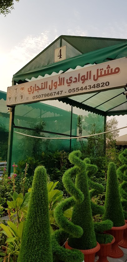 مشتل الوادي - Al Jubail 35811
