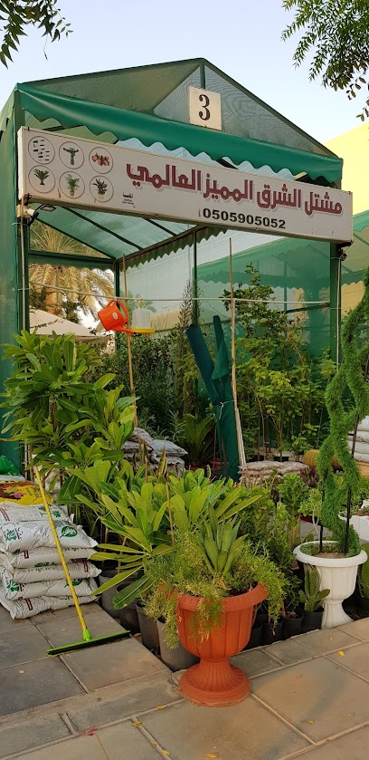 مشتل الشرق - Al Jubail 35811