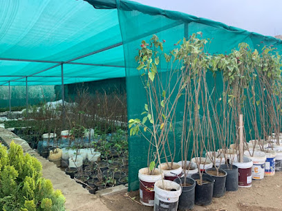 مشتل الورد الطائفي - Taif - +966 50 555 2302