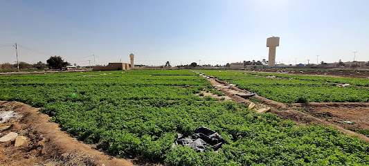 مشتل حدائق الكادي - Saudi Arabia|5412، السعيدان، الدلم 16324 7608،