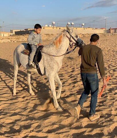 مربط طلال للخيول - Buraydah - +966 54 828 3530