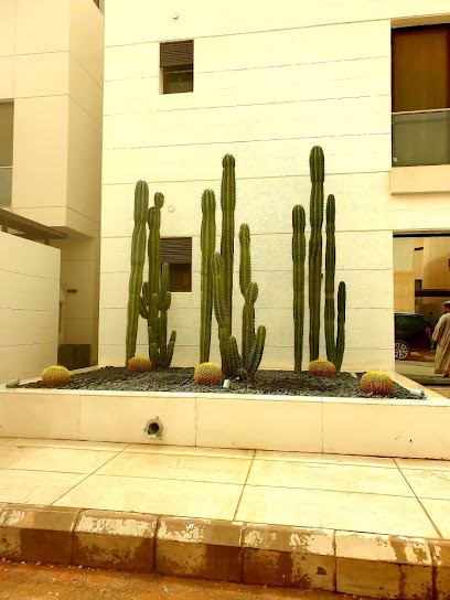 مشتل غدير - Saudi Arabia|Riyadh 13524|Al Malqa|King Salman Bin Abdulaziz Rd