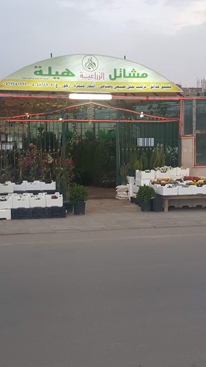 مشتل هيلة - Saudi Arabia|Sakaka 72351|5192 طريق القنيطرة، 8538