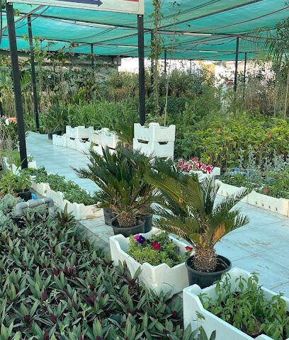 مشتل نواف - فرع الشرقية - Dammam - +966 55 003 3275