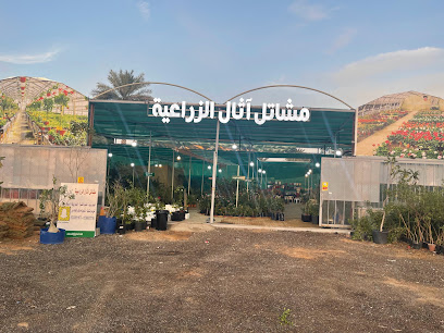 مشاتل اثال الزراعية - Buraydah - +966 58 128 1805
