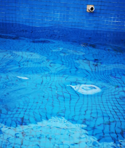 منتجع الربيع Al-Rabie Resort - Safwa -