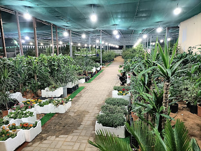 مشتل اليوسف Al-yousuf Nursery - Saudi Arabia|Tabuk 47318|Cultivated Area|Prince Fahd Ipn Sultan Branch Rd