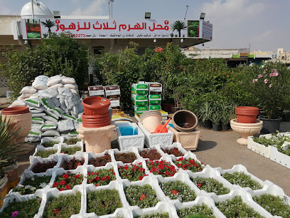 محل الهرم للزهور - Al Khobar - +966 55 781 2273