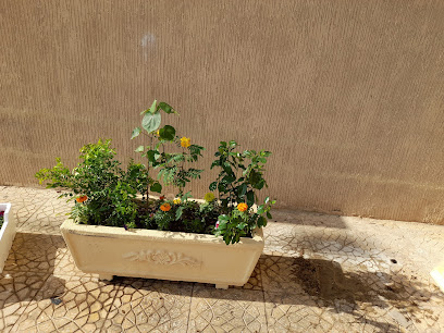 مشتل الازهار - Dammam - +966 54 032 6179