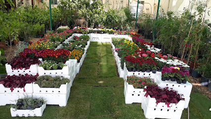مشتل الحدائق الراقيه - Sakaka - +966 50 538 8982