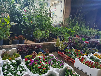 مشاتل عالم البلاد - Dammam - +966 59 881 5707