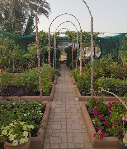 مشتل أنساق الزهور - Jeddah - +966 55 907 9007