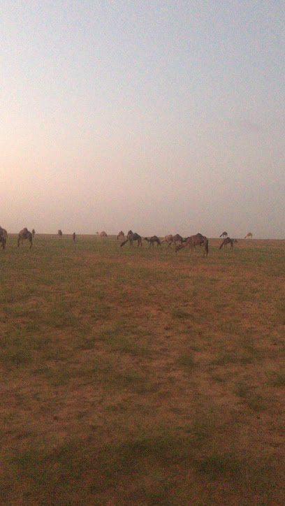 ملعب النجوم بتربة - Saudi Arabia|Turbah 29731|5MM6+HMV