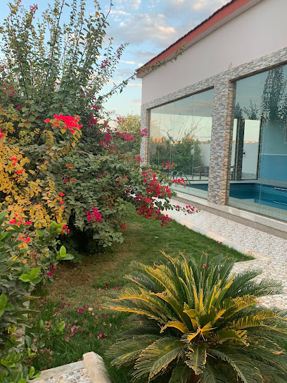 Halheiat Rose Land Bisha - Saudi Arabia|Bisha|5555