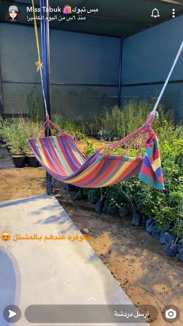 مشاتل واي تكس - Saudi Arabia|Tabuk 47332|Cultivated Area|طريق الفحص الدوري