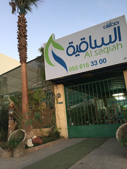 مشاتل الساقية - Ar Rass 58838