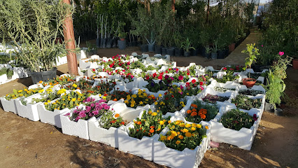 مشتل الرابية - Al Duwadimi - +966 53 106 2417