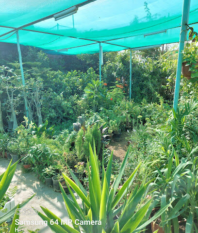 مشتل نجم حائل - Najran - +966 50 957 0029