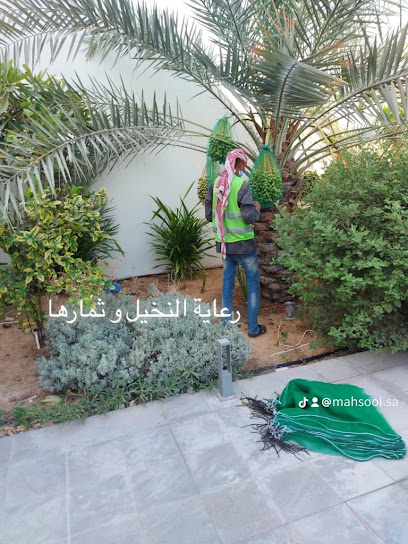 Gardening - Dammam 31311
