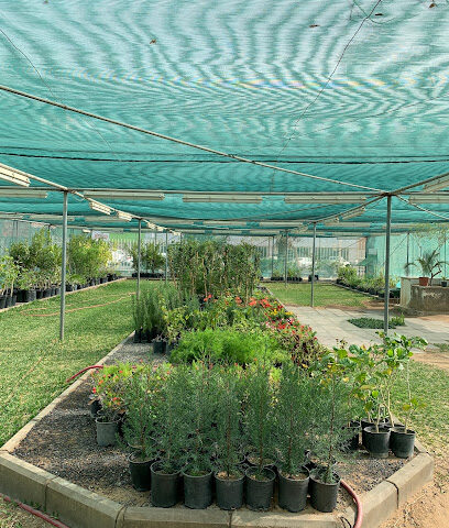 مركز حديقة تادكو - Bir Ibn Hirmas - +966 50 249 9789