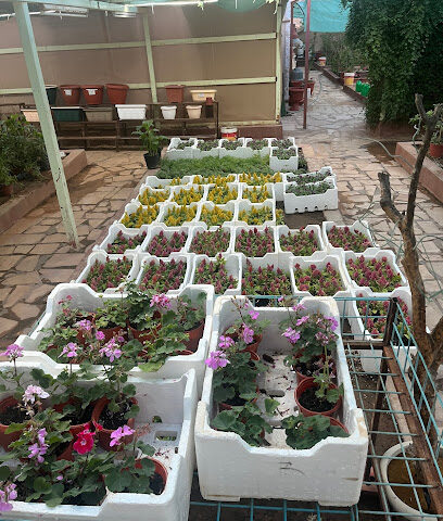 مشتل روز - الرياض - +966 55 366 8080