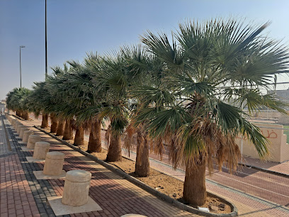 ملعب الربوة - Sakaka -