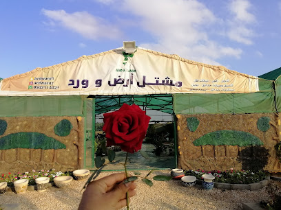 مشتل أرض وورد - Saudi Arabia|72411|72411 السعودية-طريق زلوم-بجوار محطة القفطان