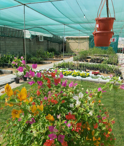 مشتل الفجر - Buraydah - +966 59 432 3318
