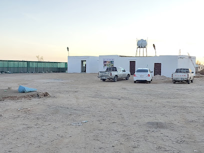 محل ابو عمرحمامة Abu Omar poultry farm - Al Duwadimi - +966 55 148 3019