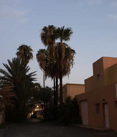 المتوسطة الأولي بنات - Taif -