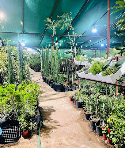 مشتل ابوحسام للنبات البري والمثمر plant nurseries - Hail -
