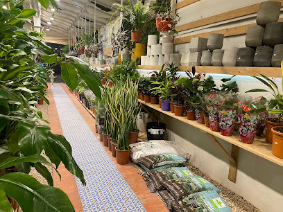 Muhrah Gardens - Riyadh - +966 55 969 9997