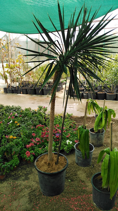 مشتل عبور الوادي - Saudi Arabia|Khafji 39256|Al Zuhur|Prince Sultan Rd