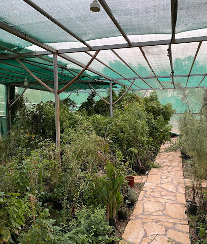 مشتل الارطاوية - Al Artawiyah - +966 59 827 5778