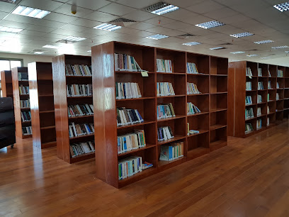 Jazan Public Library - Jazan - +966 17 315 8846