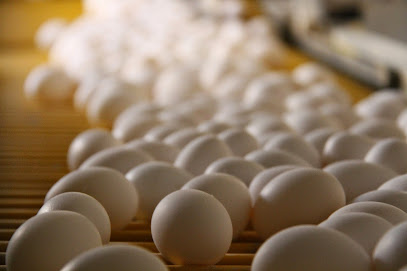 Rahima Poultry Farm - Al Juaima'h - +966 13 839 0011
