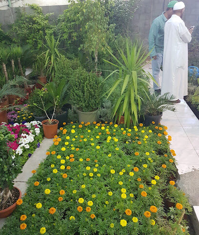 Nursery City of Roses - Taif - +966 59 913 7340