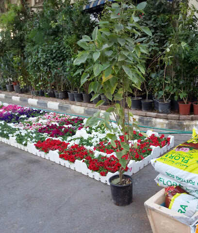 شركة مرايا الإنجاز - Dammam - +966 56 483 3419