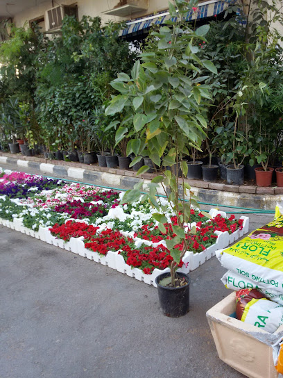 شركة مرايا الإنجاز - Dammam 32413