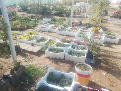 مشتل - Sakaka - +966 53 020 2174