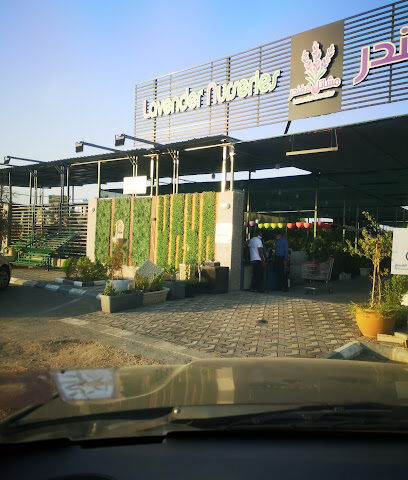 Lavender Nurseries - Saihat -