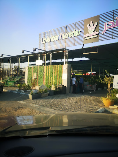 Lavender Nurseries - Saudi Arabia|3097 طريق الظهران الجبيل السريع، سيهات‎ 32461 6996،