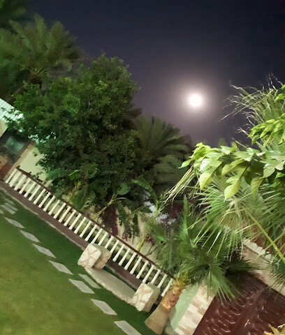 Al nawras resort - Bisha - +966 55 824 6540