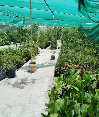 مشتل بروق المواسم ٢ - Saihat - +966 54 400 5785
