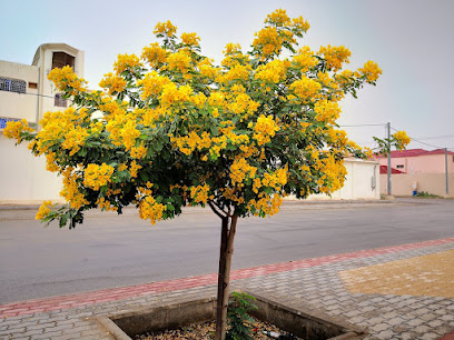 مشتل فيولا - Al Juaima'h - +966 59 889 8333