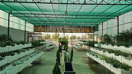 زاوية. مروج - Ar Rass - +966 53 649 2000