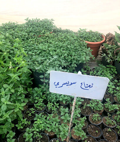 مشتل الفلاح - Ath Thamiriyah - +966 53 000 3544