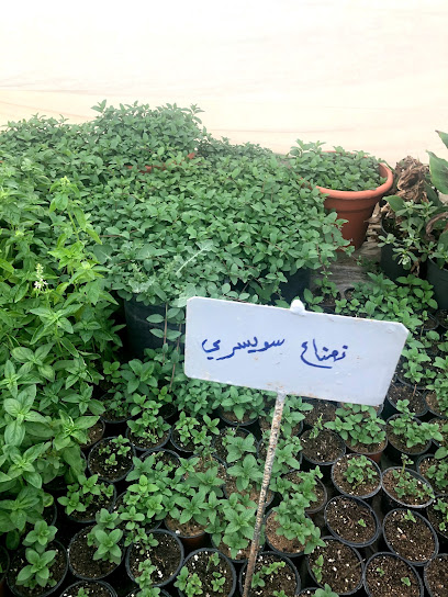 مشتل الفلاح - Saudi Arabia|Ath Thamiriyah 56680|W7X7+6P